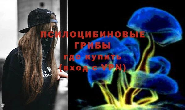 ALPHA PVP Нягань