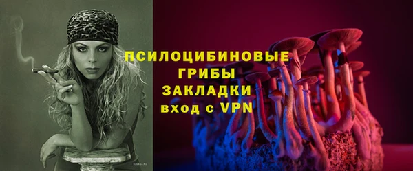 гашик Осинники