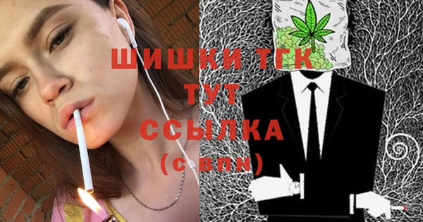 гашик Осинники