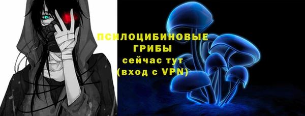 PSILOCYBIN Дмитровск