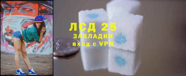 гашик Осинники