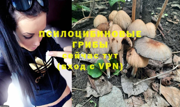 PSILOCYBIN Дмитровск