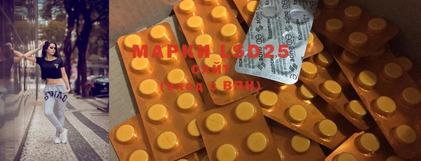 PSILOCYBIN Дмитров